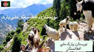/ رقص زیبای دختر بسیار زیبا و سکسی ایرانی iranian b. Great View Of Nooristan Province Afghanistan Ù…Ø§Ù„Ø¯Ø§Ø±ÙŠ Ù†ÙˆØ±Ø³ØªØ§Ù†ÛŒØ§Ù† Ø¯Ø± Ø·Ø¨Ø¹ÛŒØª Ø²ÛŒØ¨Ø§ÙŠ Ù†ÙˆØ±Ø³ØªØ§Ù† Youtube