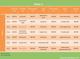 6 month old feeding schedule free printable food charts