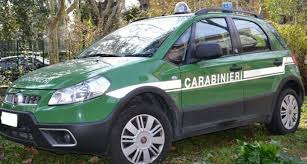 Il ministro è un ex generale del corpo necessarie nuove assunzioni nei carabinieri forestali. Anagni Carabinieri Forestali A Finanzieri Sanzionano Un Officina Specializzata Tg24 Info