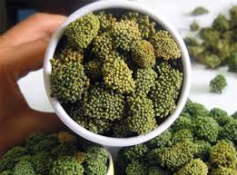 самый дорогой чай в мире называется дахунпао что означает Samyj Dorogoj Chaj V Mire