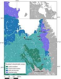 We did not find results for: Frontiers Impacts Of Climatic Variation On The Growth Of Black Spruce Across The Forest Tundra Ecotone Positive Effects Of Warm Growing Seasons And Heat Waves Are Offset By Late Spring Frosts