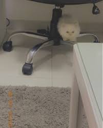 سحنون on instagram اتابعون مسلسلات في رمضان اذا اي شنو هيي ما شاء anime wallpaper live cute poses for pictures grunge photography