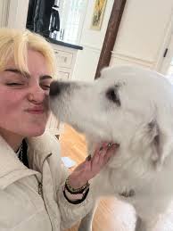 In-home pet sitting services in Beverly, MA