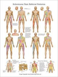 Pin On Healing