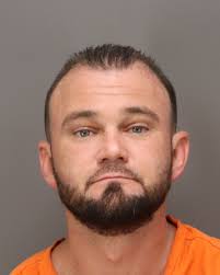 Update: Missing Teenage Girl Kidnapping Michelle Brandes , age 37, the  domestic partner of Steven Gress , turned herself into police Saturday  morning. She is in custody and being charged with 1st