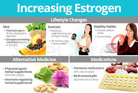 Image result for Estrogen