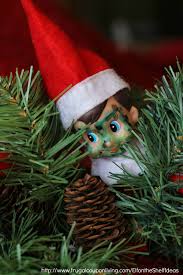 Today's top christmas tree shops coupon: Elf On The Shelf Ideas Elf Is Camo In The Christmas Tree