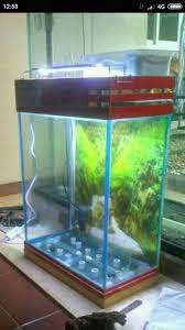 Aquarium rimless bio glass 700. Aneka Model Aquarium Kolam Hias Dan Aquarium Facebook