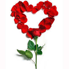 Ingresa a tu cuenta para ver tus compras, favoritos, etc. Petalos De Rosa En Caja Rosasexpress