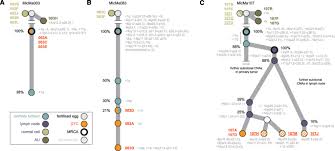 (all four of the groups named in the lawsuit got an f rating on. Tracing The Origin Of Disseminated Tumor Cells In Breast Cancer Using Single Cell Sequencing Genome Biology Full Text