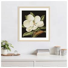 Magnolia Grandiflora 2003 By Jenny Barron Wood Framed Wall Art Print