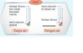 Sesetengah protein mempunyai sulfur dan fosforus.2. Sains Tingkatan 2