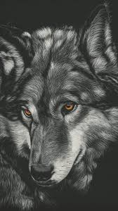 Tons of awesome wolf wallpapers 1920x1080 to download for free. Wolf Iphone X Wallpaper 4k