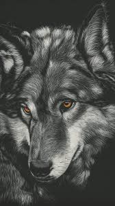 Android users need to check their android version as it may vary. Wolf Iphone Wallpapers Top Free Wolf Iphone Backgrounds Wallpaperaccess