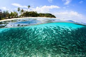 Lang tengah island is a lesser known island off the coast of terengganu that offers #silky #white #beach and #crystal #clear blue sea you can expect a less. 2021 2d1n Summer Bay Lang Tengah Island Resort Terengganu Ami Travel Tours