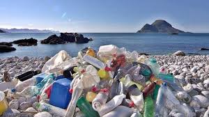 Dikutip dari edition.cnn.com, selasa, 20 agustus 2019, ekspedisi yang dilakukan kelompok greenpeace ke laut sargasso bersama para ilmuwan menemukan kebergantungan manusia pada plastik telah. Ancaman Makin Nyata Garam Dan Ikan Teri Juga Tercemar Mikroplastik Halaman 1 Tribun Manado