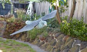 How To Deter Birds From Your Garden Organic Gardening Garden Guide Garden