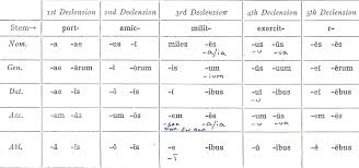 Declension Review Latin For Rabbits