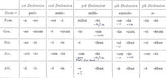 declension review latin for rabbits