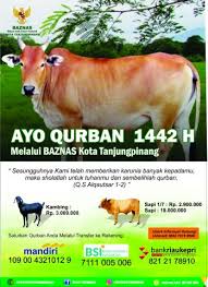 Ibadah qurban merupakan amalan yang sangat dituntut dalam islam. Baznas Kota Tanjungpinang Menerima Menyalurkan Hewan Qurban