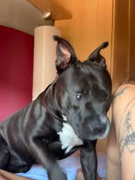 @Katysancheskiiis video Tweet