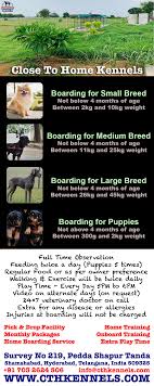 Alternatives are a boarding kennel, or a professional pet sitter. Dog Boarding Services In Hyderabad Dog Boarding Small Breed Kennel Boarding