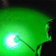 Catching Bait Thanks To Our Reel Britebite 12v Fishing Light Fishing Lights Underwater Lights Lights