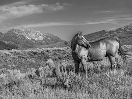 Your books say as much about your interests, taste and personality as. Coffee Table Book Archives Colorado Homes Lifestyles