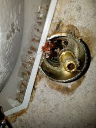 However, if they are submitted to this subreddit, they will be removed. Kitchen Faucet Removal Can T Get Nut Off Terry Love Plumbing Advice Remodel Diy Professional Forum