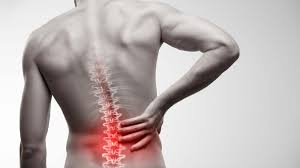 Levels of pain can vary from a dull constant ache to a sudden prickly feeling. Fixing Low Back Pain Dr Phil Maffetone