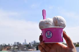 Baskin Robbins Launches Vegan Horchata Ice Frozen Dessert