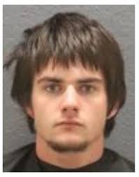 Seneca Teen Charged with Petit Larceny and Malicious Injury to Property