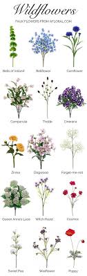 Line drawing flowers dahlias flower power. 60 Ideas Flowers Types Of Drawing
