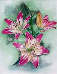 Today we're showing off how to color a butterfly with watercolor pencils! Pencil Drawings Of Flowers And Butterflies With Colours Google Search Blumenzeichnung Blumen Bleistiftzeichnungen Zeichnung Ideen Bleistift