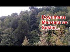 orman kus sesleri harika manzara sonbahar da samandere selalesi yolu youtube manzara ormanlar ses