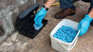 Image result for ratpoison