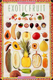 Fruits do have an vital role for the health of our bodies. Pin On Celestial Wisdom