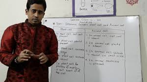 Jul 25, 2021 · types of plant cell. Description Of The Differences Between Plant Cell And Animal Cell Part 3 Class 6 Bd Youtube