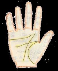 Money lines in palmistry is very important to understand how is overall wealth in your life. Palmistry The Lines Which Make You Wealthy Money And Finance Palmistry Askastrologer Com