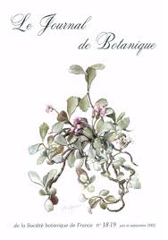 Image result for Callichilia bequaertii