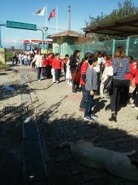 Tarsus Hayvan Barinagi Kopek Bakim Evi Ve Rehabilitasyon Merkezi