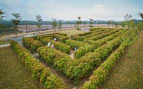 Over bukit banyan homestay sungai petani. Bukit Banyan Up Close To Nature