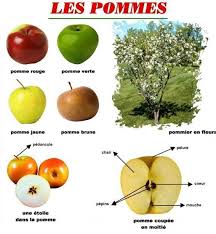 Les Pommes Ddm Pinterest Apple Activities Fruit Apple Craft