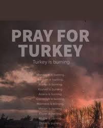Schau dir angebote von turkey auf ebay an. 7tvcyppn0swr3m