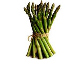 மலட ட த தன ம ப க க ம தண ண ர ம ட ட ன க ழங க Medicinal Benefits Of Asparagus மலட ட த தன ம ப க க ம தண ண ர ம ட ட ன க ழங க Tamil Boldsky