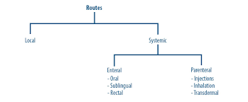 Image result for Medication Route