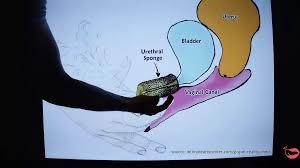 小男娘们 上课啦 灵灵老师 教你 潮吹 多重高潮 手法