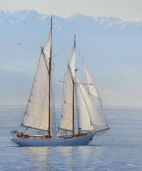 Neil Andcheri Hamelin Becalmed 25 X30 Acrylic On Fine Art Board Schooner Named Alcyone Victoria Classic Boat Festival Ww Classic Sailing Boat Sailing