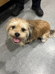 Found at Food Warehouse Kingston retail park been outside in yard since  yesterday