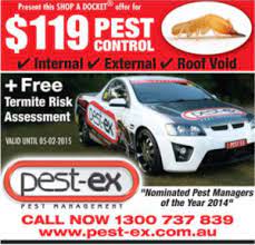 Pest ex is a leading pest control & termite treatment company servicing gold coast, brisbane, tweed heads and many other locations. We Have Highly Professional Teams Ready To Fight And Destroy Pests In Your Homes We Provide Services In The Goldcoast Infestations Termite Infestation Pests